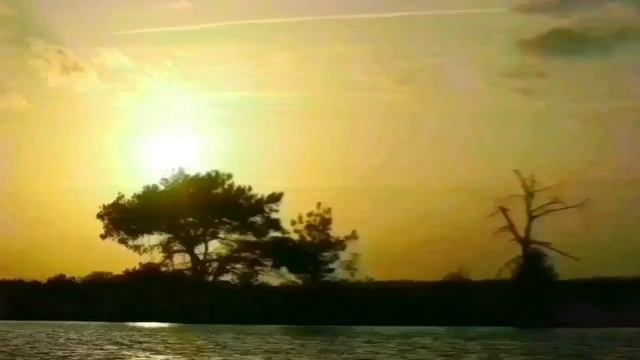 ЖЕНАТЫЙ УЗБЕК ВОРУЕТ У ГОСУДАРСТВА. ТАШКЕНТСКИЙ ПАРЕНЁК С УРАЛА.