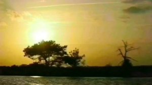 ЖЕНАТЫЙ УЗБЕК ВОРУЕТ У ГОСУДАРСТВА. ТАШКЕНТСКИЙ ПАРЕНЁК С УРАЛА.