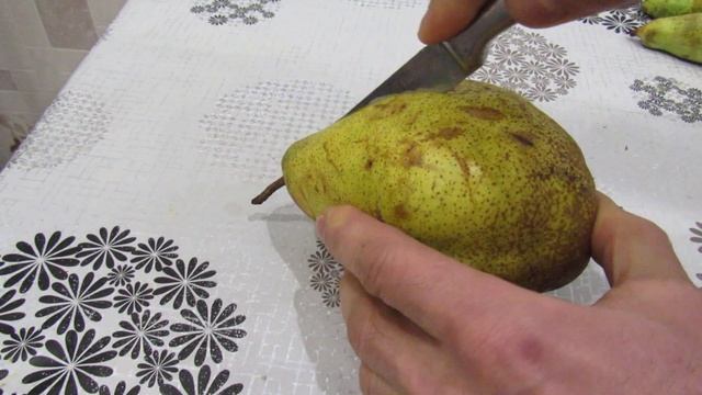 Груша Ноябрьская,  Конференция