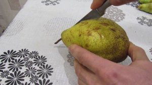 Груша Ноябрьская,  Конференция