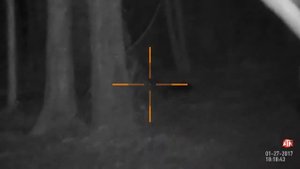 Ночная охота с ночным прицелом ATN X SIGHT 2 HD