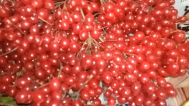 Царская ягода калина смотреть онлайн