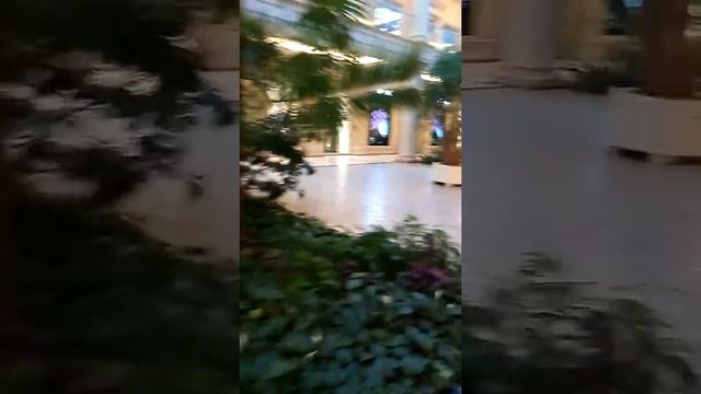 Крокус Сити,,, смотреть онлайн