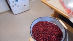 Брусника в сахаре, заготовка на зиму, без варки