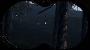 Hunting Simulator#2.Охота на Зайцев.