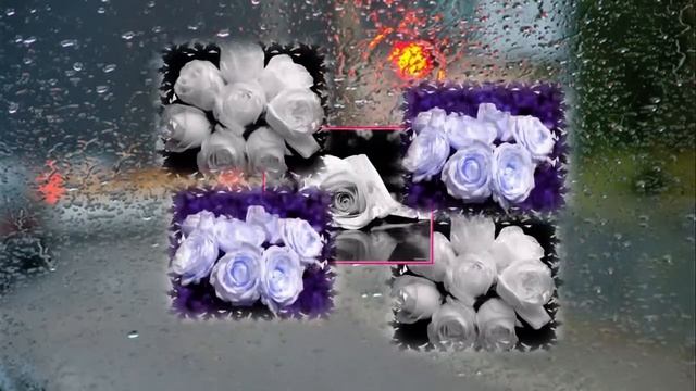 Белые розы.М.Шафутинский..mpg смотреть онлайн