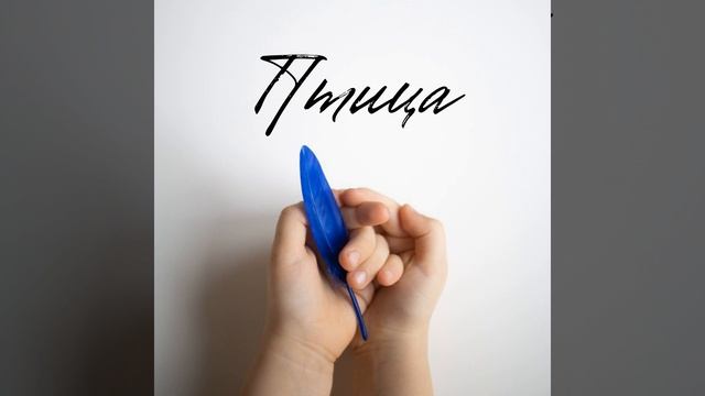 Птица