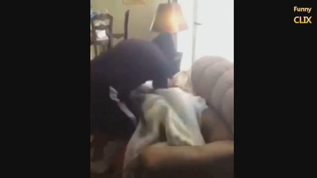 Как разбудить друга=) смотреть онлайн