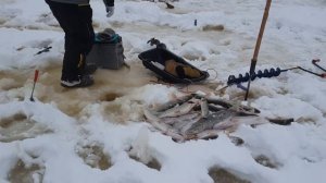 Зимняя рыбалка на Северной Сосьве