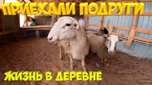 Приехали подруги .  [Жизнь в деревне]