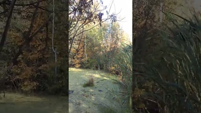 Медитация 3 часть.Положение тела во время медитации. смотреть онлайн