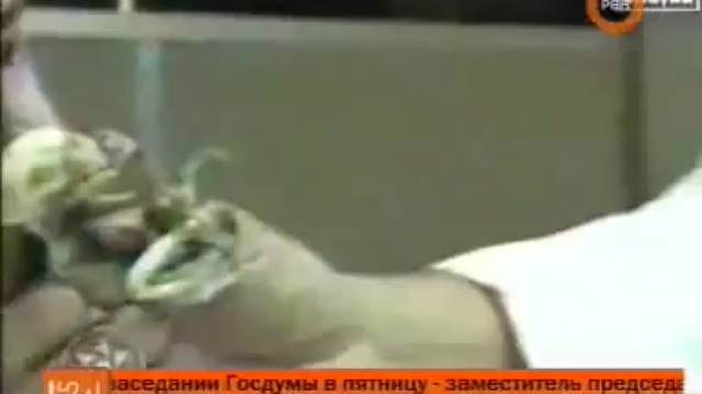 Нефилим загадочное сушество похоже на человека!