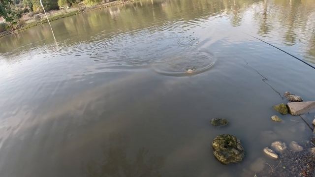 рыбалка в Израиле смотреть онлайн