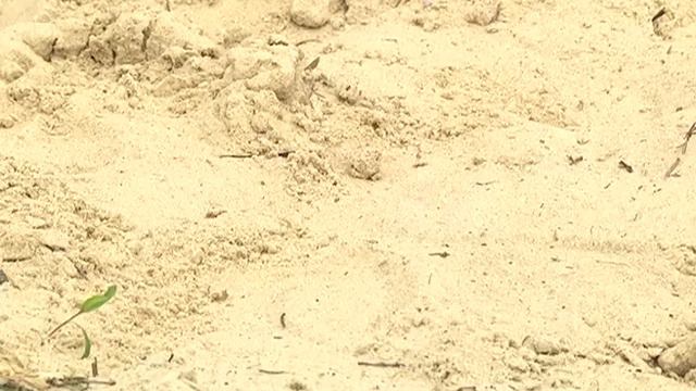 СЕЗОН НЕ ЗА ГОРАМИ смотреть онлайн