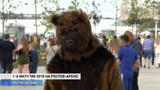 Первый матч ЧМ на Ростов Арене: впечатления болельщиков смотреть онлайн