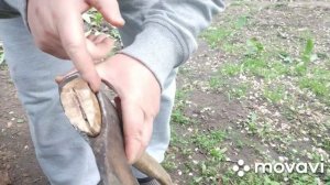 Забиваем клин в топорище.