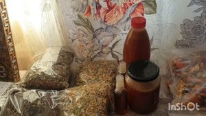 О пользе Мухамора 🍄🍄🍄🍄