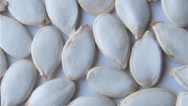 Как правильно собрать семена кабачков смотреть онлайн