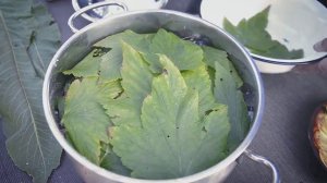 Вкусная и ароматная холодная засолка грибов