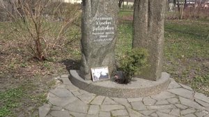 Кладбище Литераторские мостки Санкт Петербург …продолжение