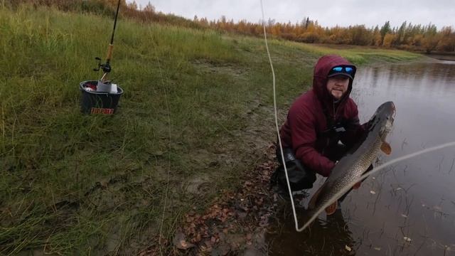 Резина рулит! Угадай вес двух щук, и получи Приз! смотреть онлайн