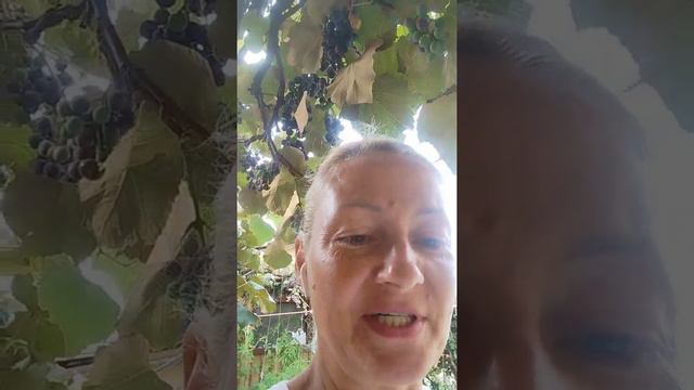 Какая церковь и священники правильные? @JuStanTV смотреть онлайн