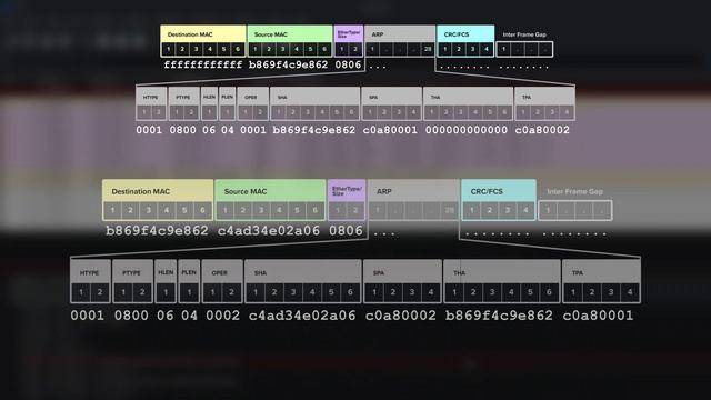 ARP explained in-depth | Address Resolution Protocol смотреть онлайн