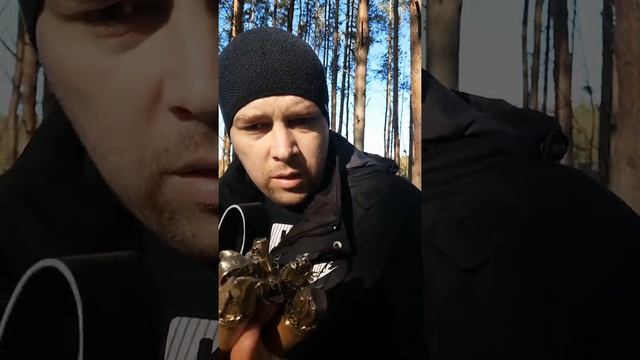 Обзор Наборы Шампуров с головами животны. смотреть онлайн