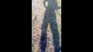 В поисках антики!