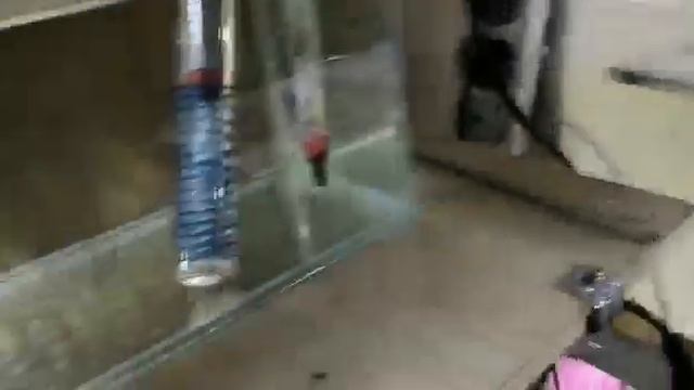 Кормление малька желтком или как это делаю я) смотреть онлайн