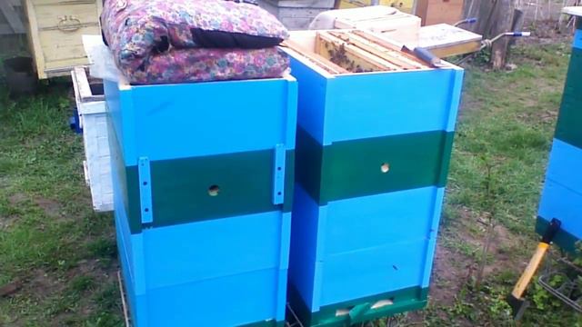 БОЛЬШОЕ ПЕРЕСЕЛЕНИЕ ПЛЕМЕННЫХ СЕМЕЙ 18 апреля 2018 г. смотреть онлайн