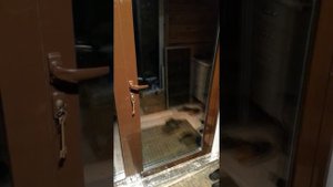 Правильная работа дверного доводчика