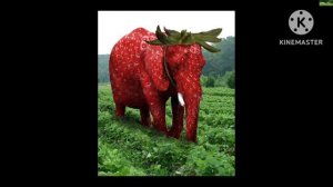 клубничный слон