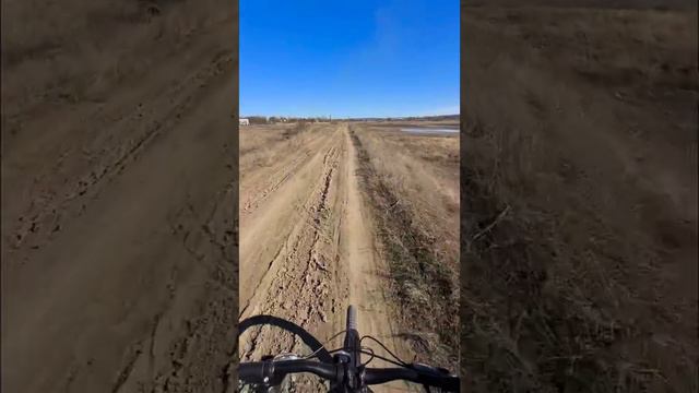 Славянск.21.03.22.Солончаки. Заповедная зона гнездования краснокнижных птиц смотреть онлайн