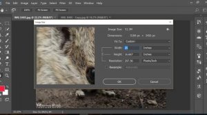 Photoshop Image Resize without Losing Quality