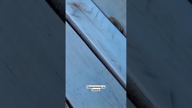 Шлифовка дачной скамейки из поддонов и старых досок #дача #deko #Скамейкасвоимируками УДачники Везд