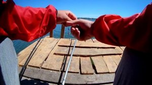 ЕСТЬ РЕЗУЛЬТАТ Кормушка с сеткой на реке Ингул/ Feeder with a grid on the river Ingul