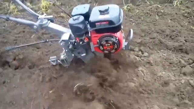 Мотоблок вейма 900-3 смотреть онлайн