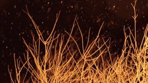 С РОЖДЕСТВОМ ХРИСТОВЫМ. Орский Иверский женский монастырь. 2020