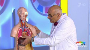 Жидкости нашего тела. Панкреатический сок. Жить здорово! Фрагмент выпуска от 18.06.2019