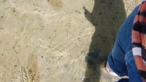 Красноперекопск. Черное море. Перекопский залив.