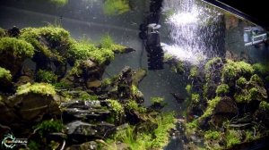 Фильтр и помпа для аквариума Tetra Filter Jet!