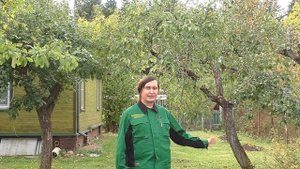 Уход за плодовым садом осенью