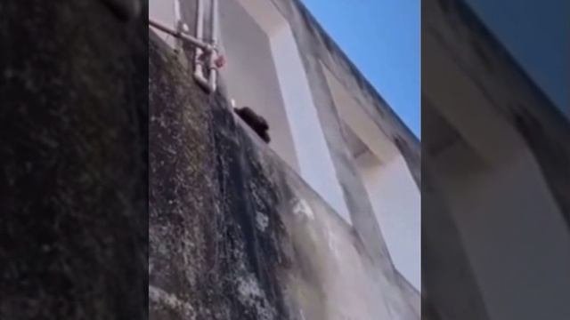 Преступника повязали..