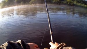 Ловля на траву на течении.  Голавль и плотва. Река Дон.