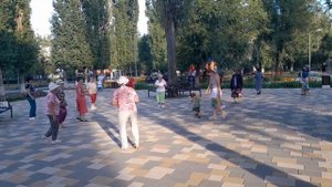 Мне ночью снятся пальмы и море