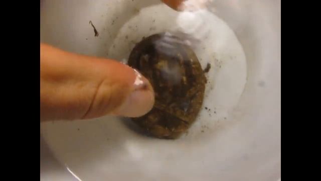 Чистка немецких наград - ОБЩИЙ ШТУРМ / Nazi War relic General assault badge смотреть онлайн