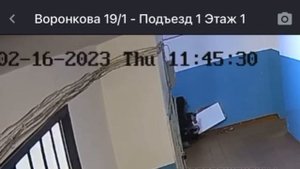 Подозрительное поведение девушки в подъезде встревожило благовещенцев