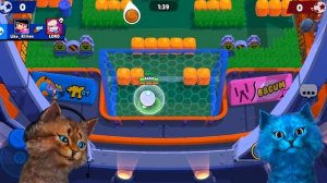 СУПЕР ПРОКАЧКА БРАВЛ ПАСС В BRAWL STARS Котик Игроман и КОТЁНОК ЛАЙК