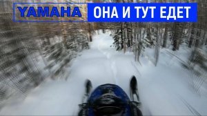 Yamaha 3т первый Японский плоско-Горник | Тунгус и СФ усерутся рядом с ним | База отдыха Экстремалов